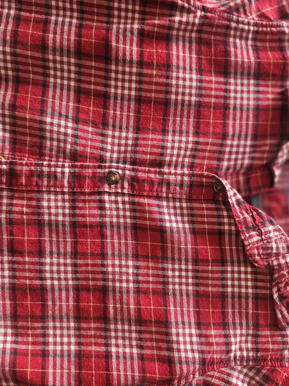 Carter's Red and Blue Plaid Button-Down Shirts Pack